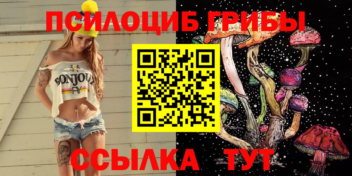 Саров  Галлюциногенные грибы мицелий  Вход с VPN 