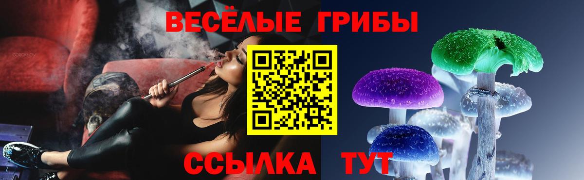 Псилоцибиновые грибы Magic Shrooms Саров